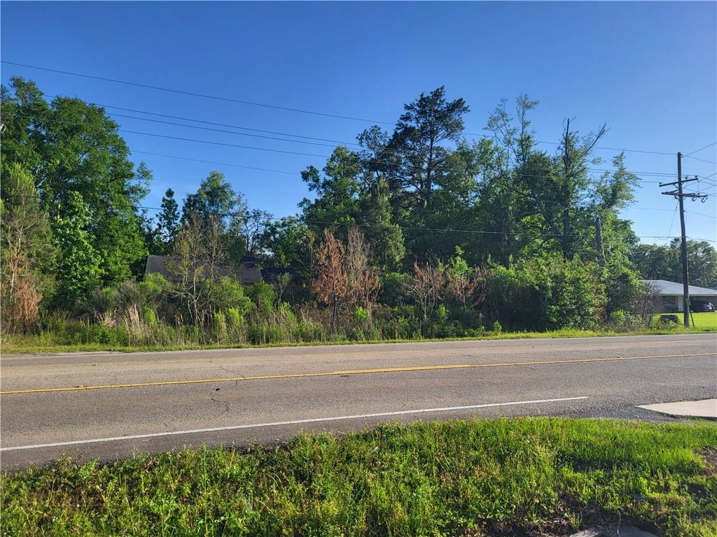 9.88 Acres E Highway 190 Highway, Hammond, Louisiana image 4