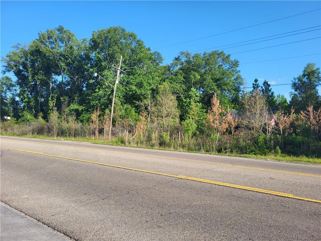 9.88 Acres E Highway 190 Highway, Hammond, Louisiana image 6