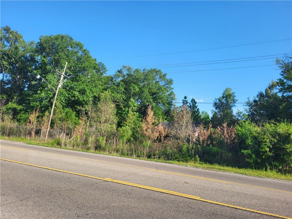 9.88 Acres E Highway 190 Highway, Hammond, Louisiana image 7
