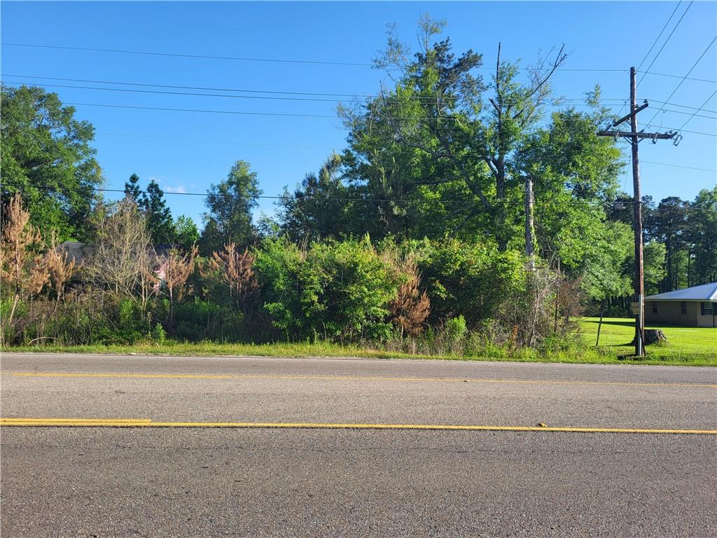9.88 Acres E Highway 190 Highway, Hammond, Louisiana image 8