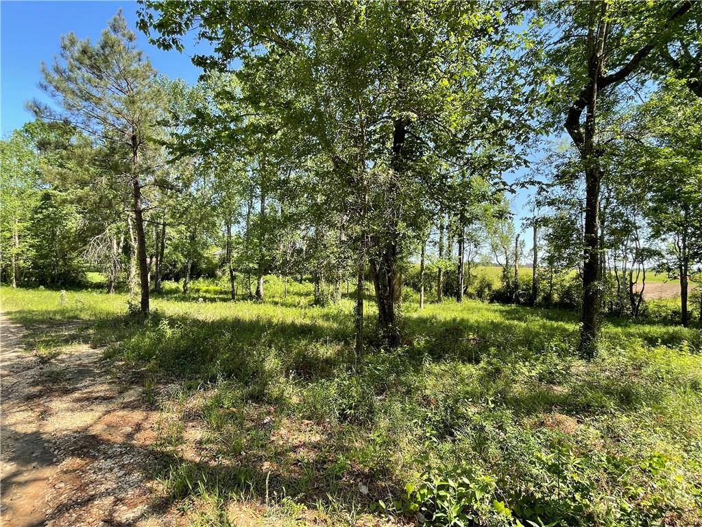 Lot 19 & 21 Cardinal Drive, Franklinton, Louisiana image 1