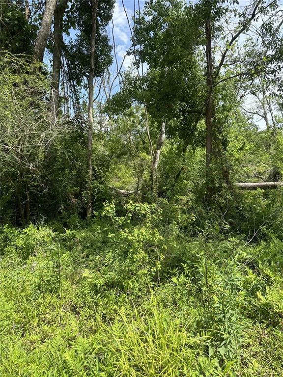 Lot 59 Fletchers Isle Road, Ponchatoula, Louisiana image 6