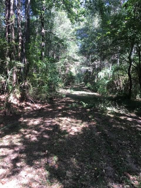 Neal Acres Road, Loranger, Louisiana image 4