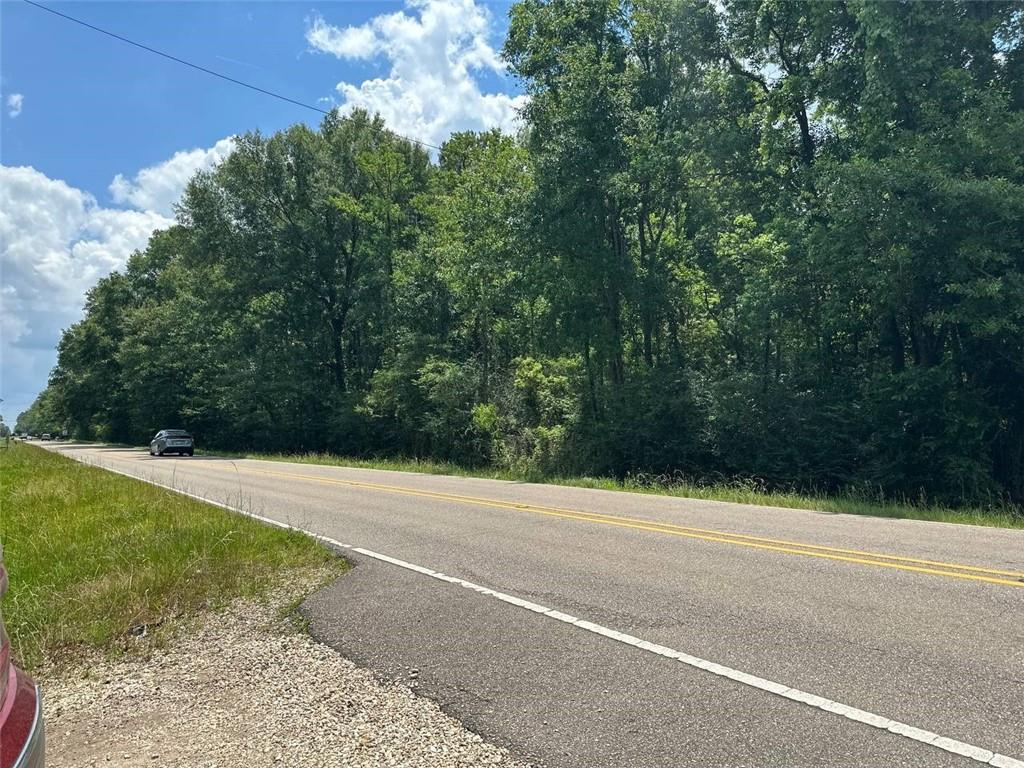 3 Acre Tract Old Covington Highway, Hammond, Louisiana image 10