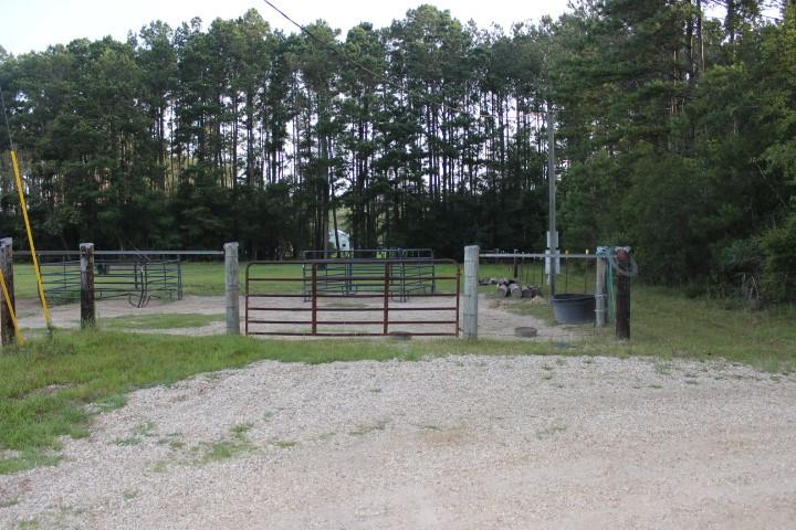 Karli Lane, Albany, Louisiana image 8