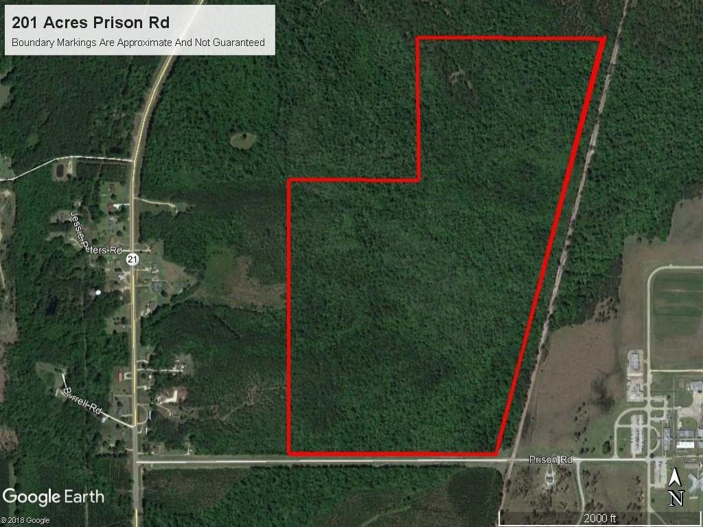 202 Acres Prison Road, Angie, Louisiana image 1