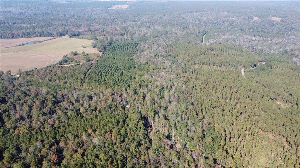 175 Acres Hilltop Church Road, Angie, LA 70426