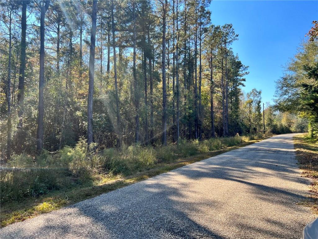 93 Acres Laverne Crain Road, Angie, Louisiana image 7