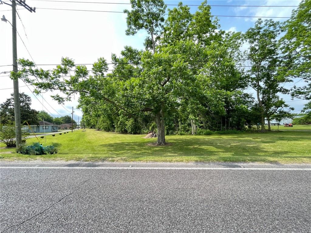 Highway 18, Vacherie, Louisiana image 2