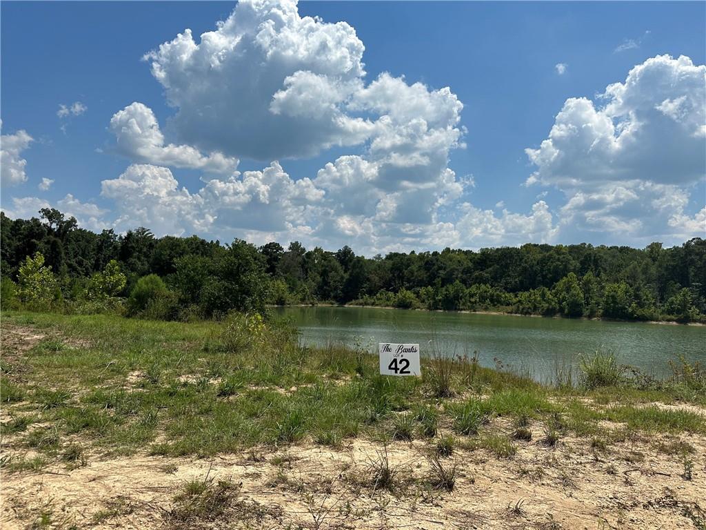 Lot 42 Water Drive, The Banks - Hwy 16 Highway, Franklinton, Louisiana image 14
