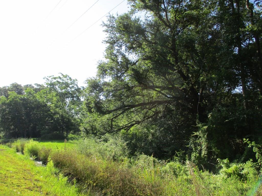 Dr. T.j. Smith Sr. Expressway, Pearl River, Louisiana image 3