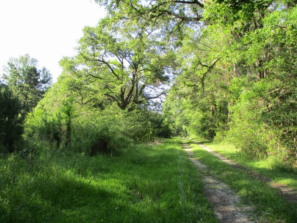 Dr. T.j. Smith Sr. Expressway, Pearl River, Louisiana image 6