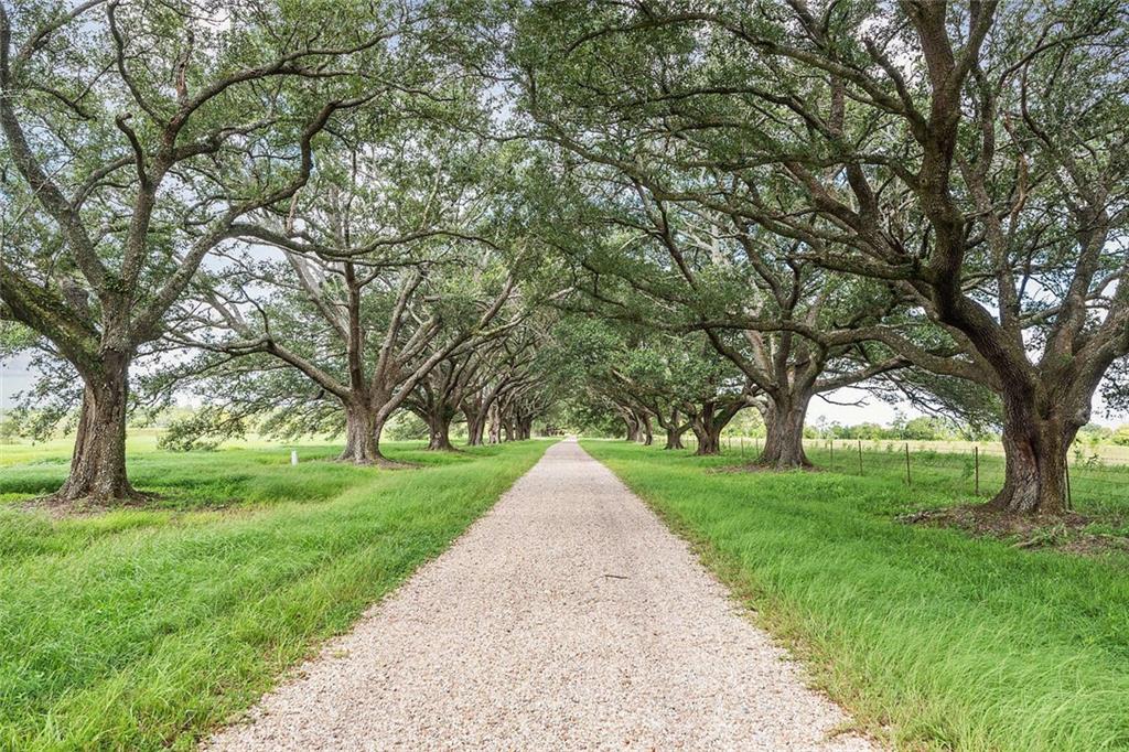 79397 Old Military (highway 1082) Highway, Bush, Louisiana image 3