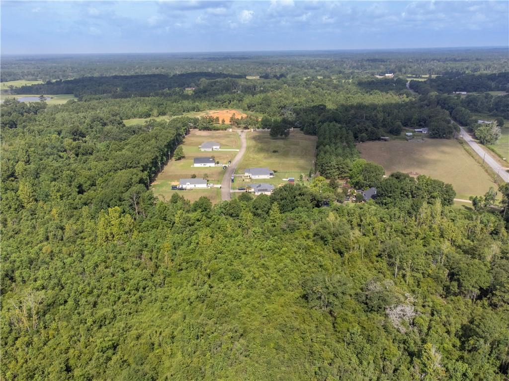 Miller Lane, Amite, Louisiana image 9