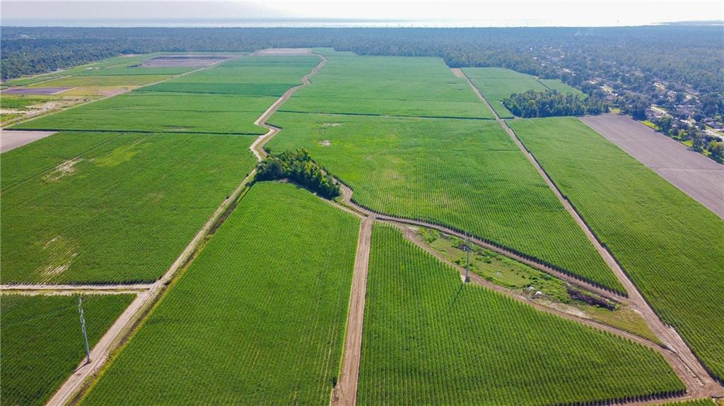 Lot 6 Elvina Plantation, La Place, Louisiana image 2