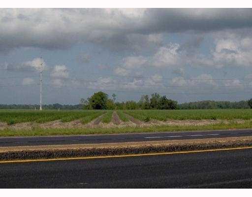 Lot 6 Elvina Plantation, La Place, Louisiana image 3