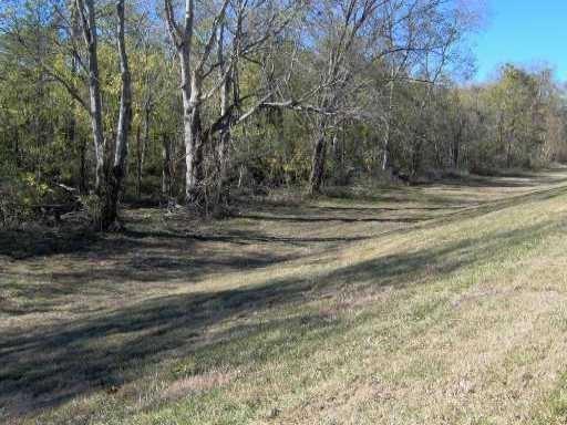 Lot 6 Elvina Plantation, La Place, Louisiana image 8