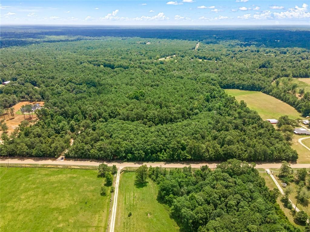 Parcels D And E-2 Old Military (hwy 1082) Road, Bush, Louisiana image 1