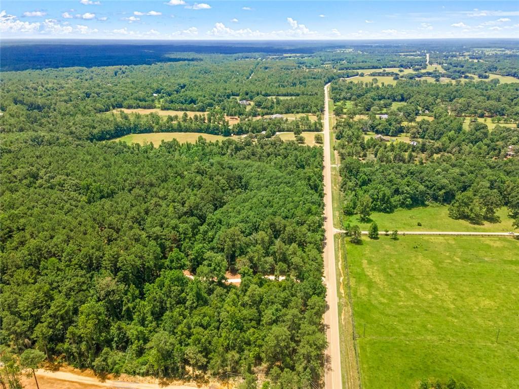 Parcels D And E-2 Old Military (hwy 1082) Road, Bush, Louisiana image 8