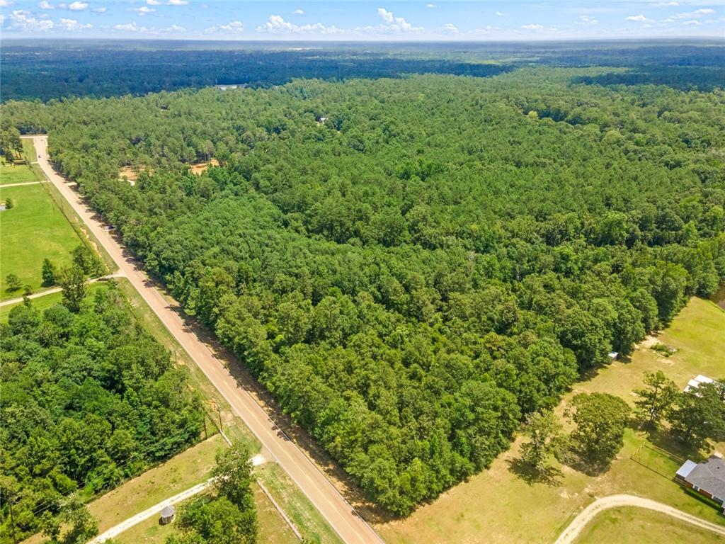 Parcels D And E-2 Old Military (hwy 1082) Road, Bush, Louisiana image 9