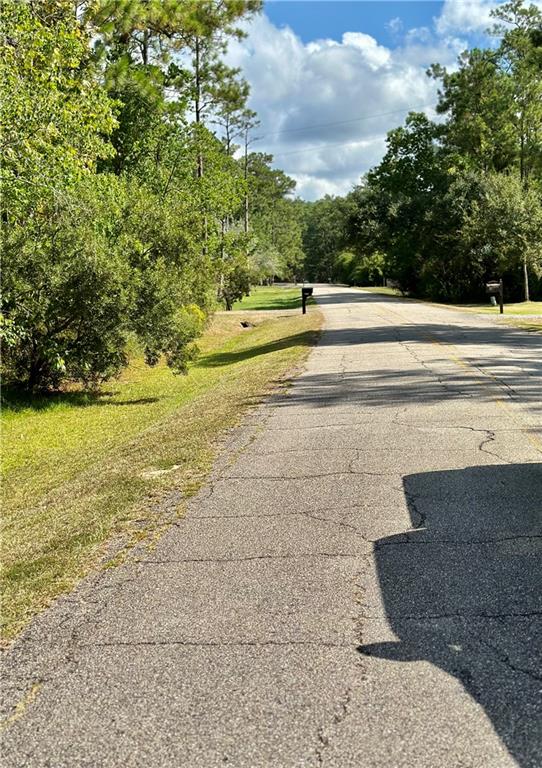 Cypress Bayou Lane, Lacombe, Louisiana image 3