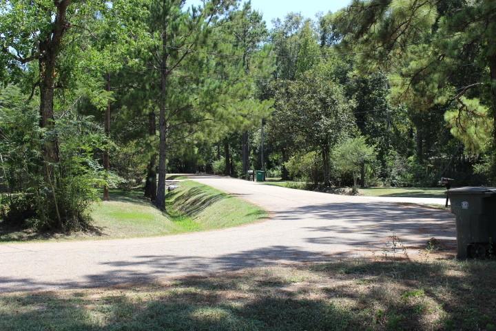 Baywood Drive, Ponchatoula, Louisiana image 9