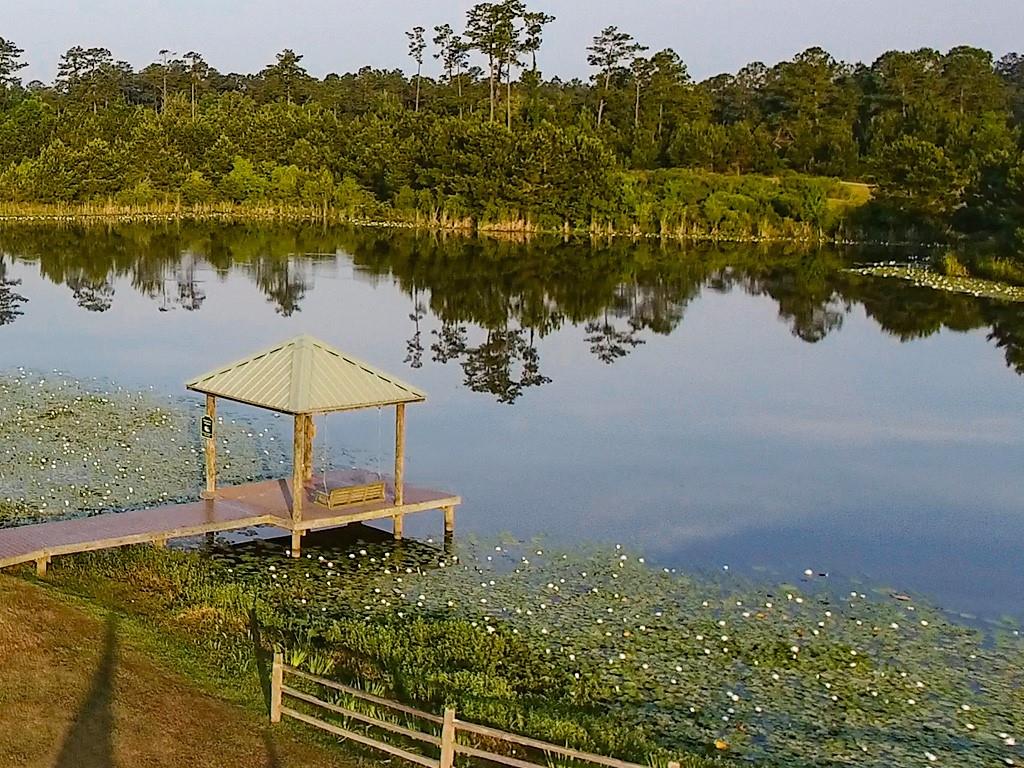 S Parkside Cove, Madisonville, Louisiana image 8