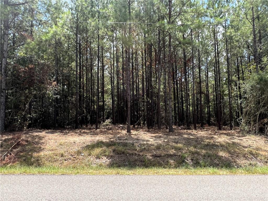 3.89 acre lot for sale in Bethel Woods subdivision. Beautiful land planted in plantation pines. Property is just south of Franklinton, appx 3 miles from Bogue Chitto State Park, and north of Folsom. Mobiles homes are not allowed and minimum square footage for homes is 1400 square feet. Additional lots available. Bond for Deed financing also available.
