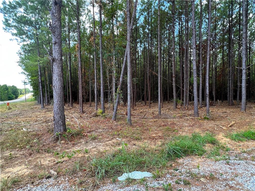 4.03 acre lot for sale in Bethel Woods subdivision. Beautiful land planted in plantation pines. Property is just south of Franklinton, appx 3 miles from Bogue Chitto State Park, and north of Folsom. Mobiles homes are not allowed and minimum square footage for homes is 1400 square feet. Additional lots available. Bond for Deed financing also available.