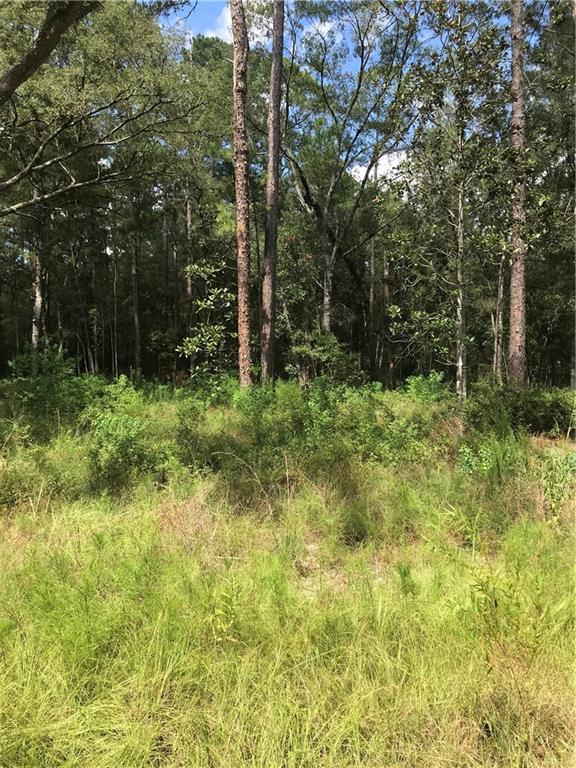 Land for sale in Abita Springs, Louisiana, 2412475