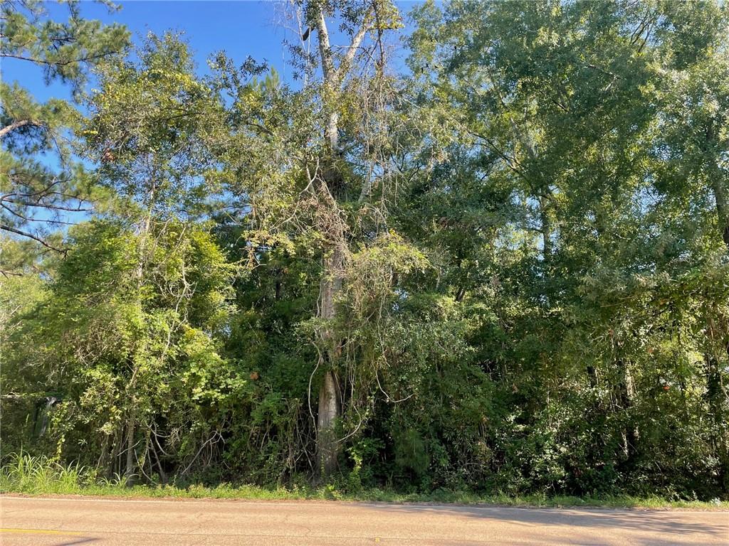 Main Street, Abita Springs, Louisiana image 1