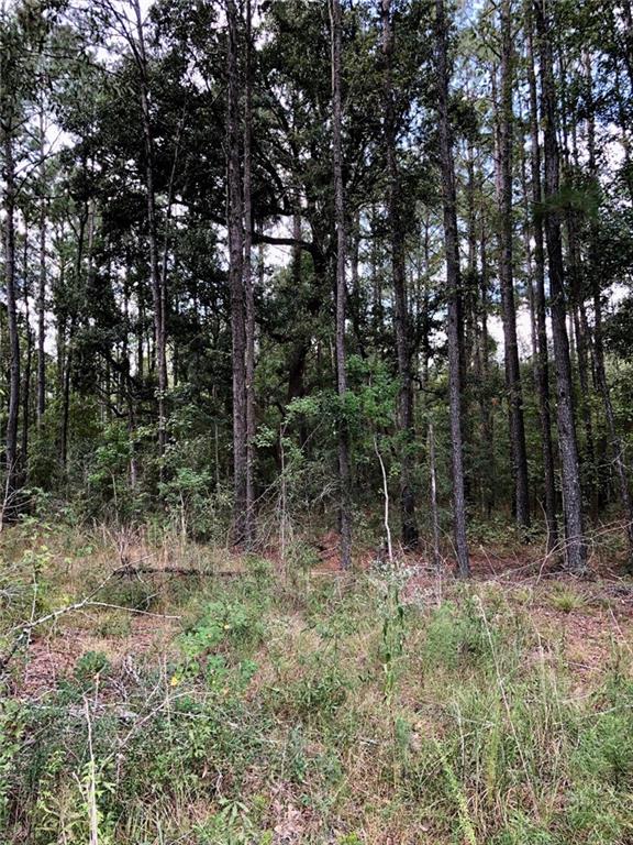 42.65 Acres Peters Road, Madisonville, Louisiana image 2