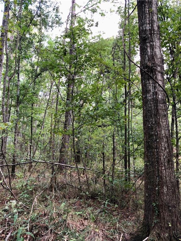 42.65 Acres Peters Road, Madisonville, Louisiana image 3