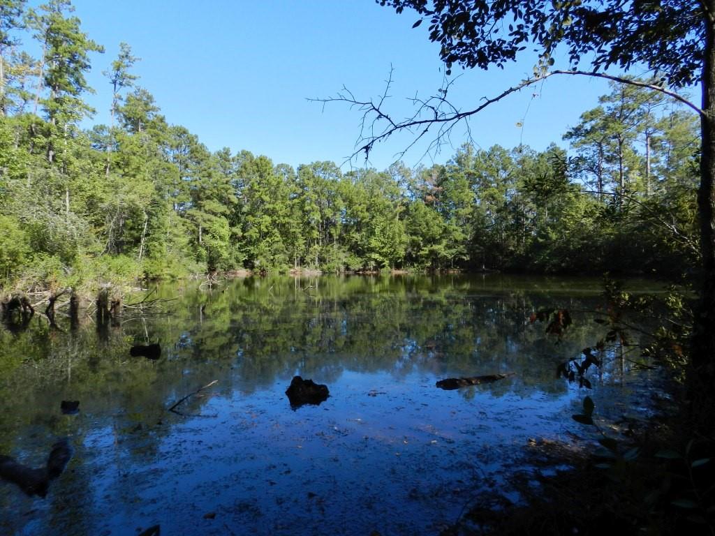 TBD Pat Fitzmorris Road, Bush, Louisiana image 3