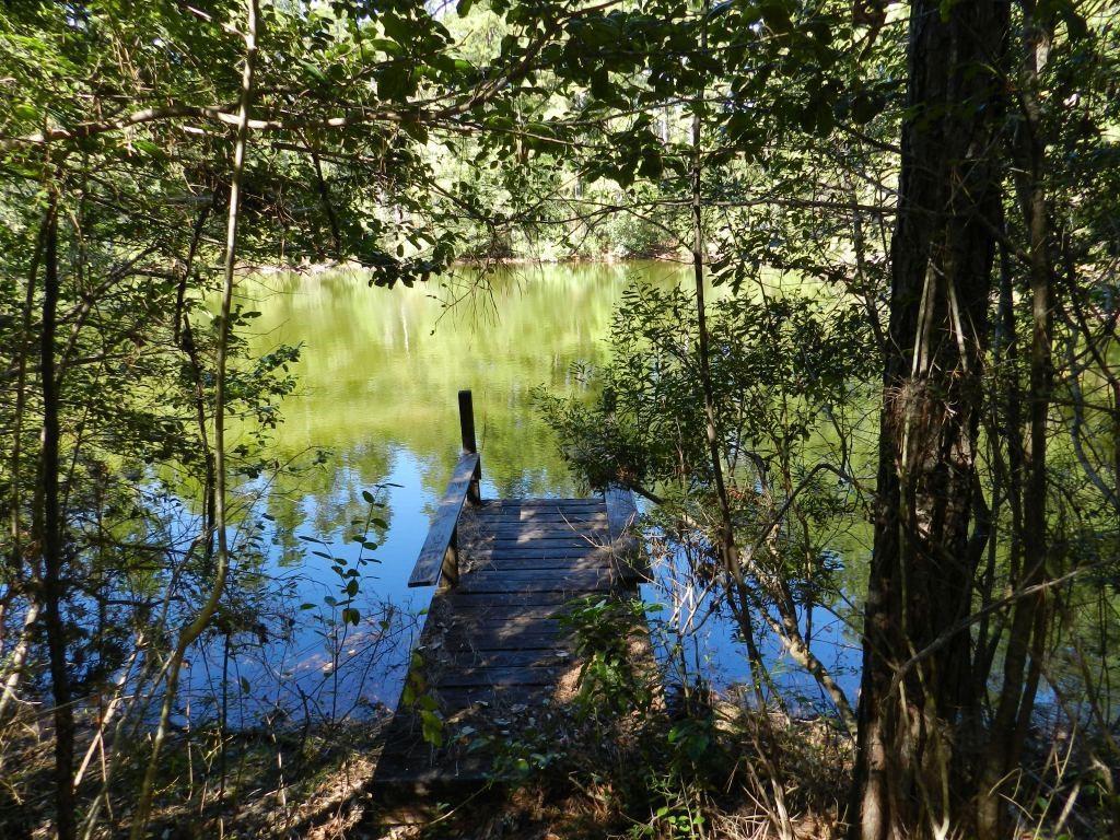 TBD Pat Fitzmorris Road, Bush, Louisiana image 4