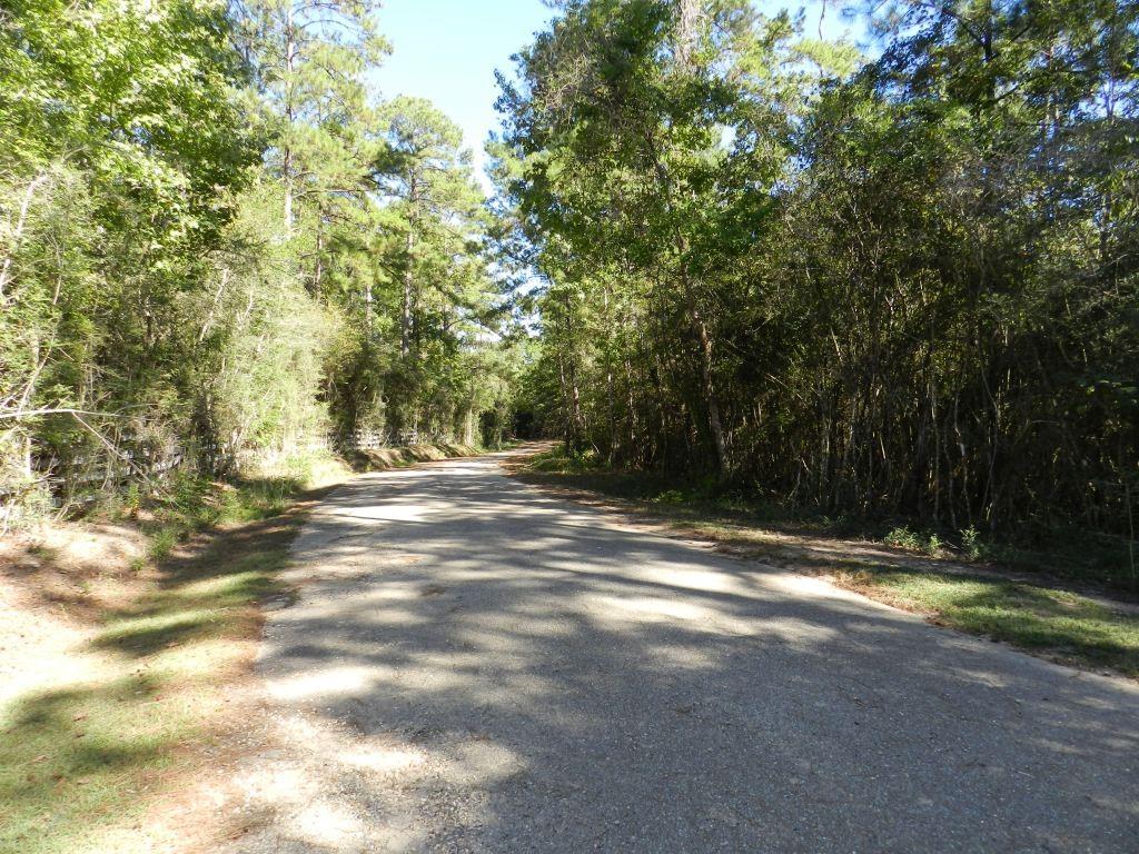 TBD Pat Fitzmorris Road, Bush, Louisiana image 5