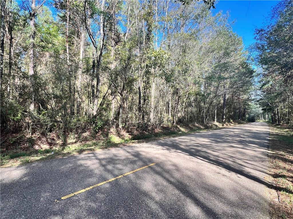 1 Acre Vernon School Road, Mount Hermon, Louisiana image 3