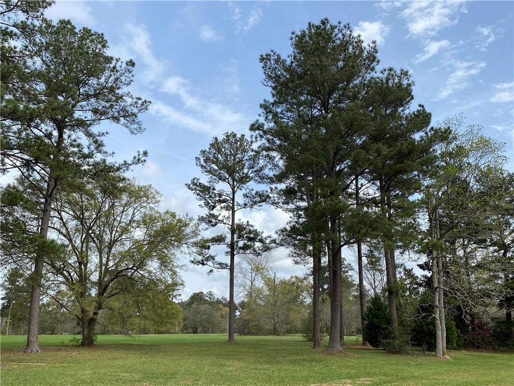 Lot 455 Chinawood Drive, Abita Springs, Louisiana image 1