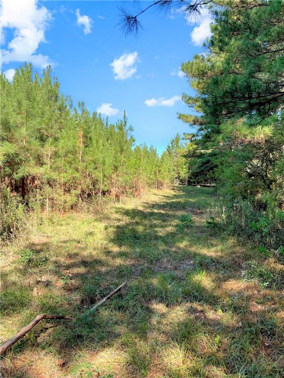 NHN Buck Stuart Road, Poplarville, Mississippi image 3