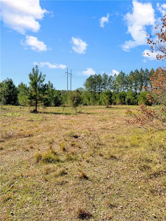 NHN Buck Stuart Road, Poplarville, Mississippi image 8