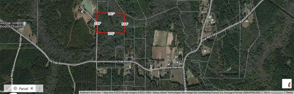 9.67 Acres In HR.51-1-14 Live Oak, Angie, Louisiana image 2