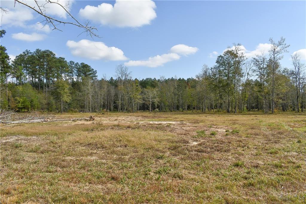 N Range Road, Livingston, Louisiana image 3