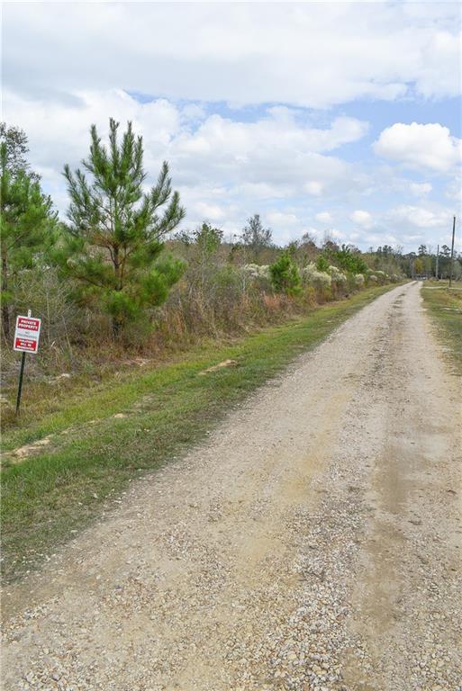 N Range Road, Livingston, Louisiana image 8