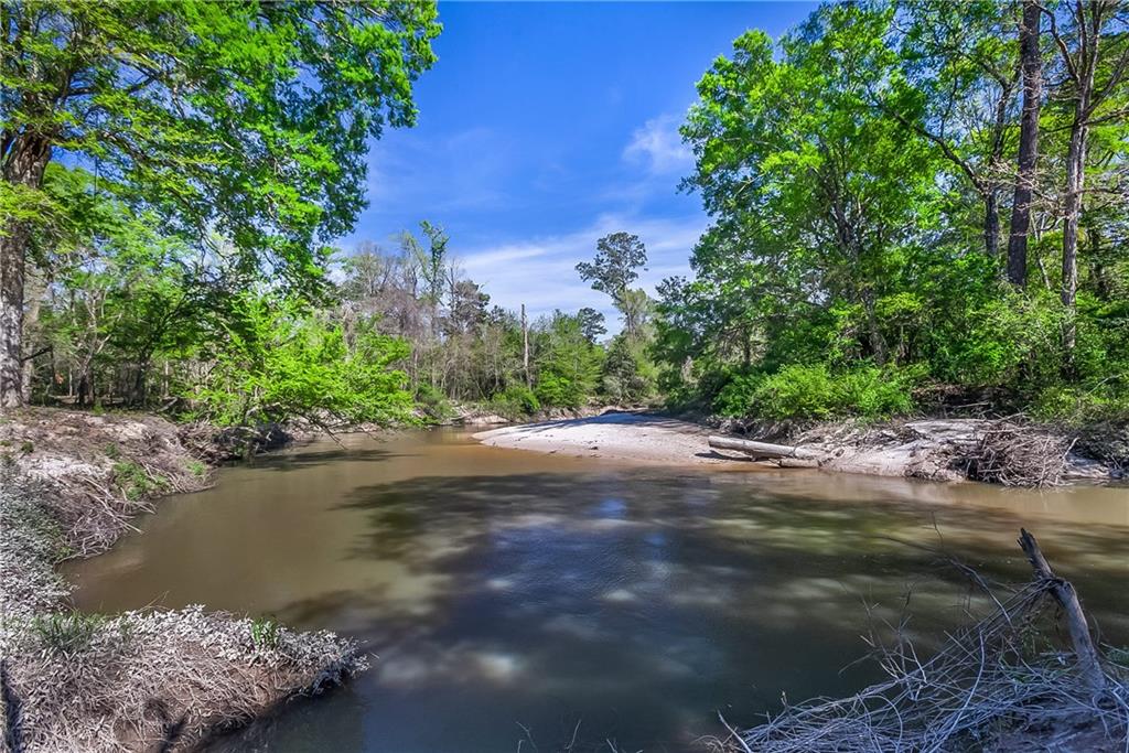 47.7 ACS Hwy 190, Covington, Louisiana image 9