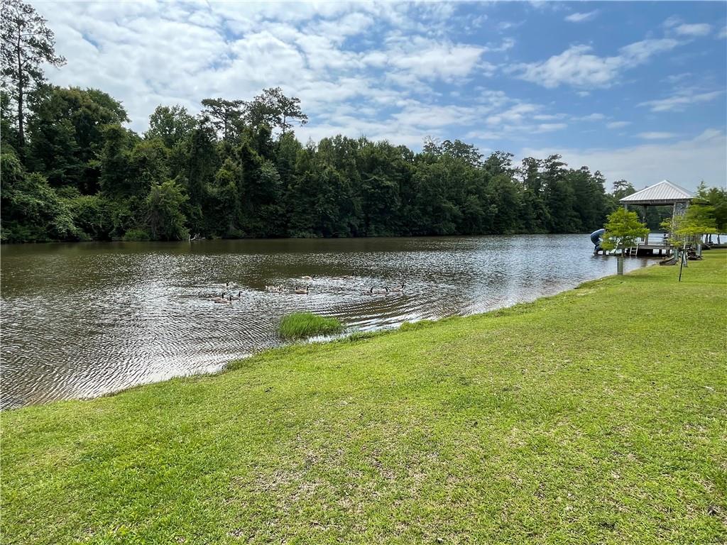 226 Kokomo Lane, Bush, Louisiana image 1