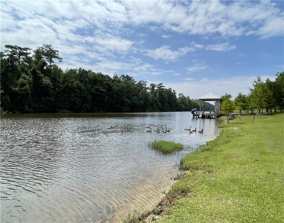 226 Kokomo Lane, Bush, Louisiana image 9