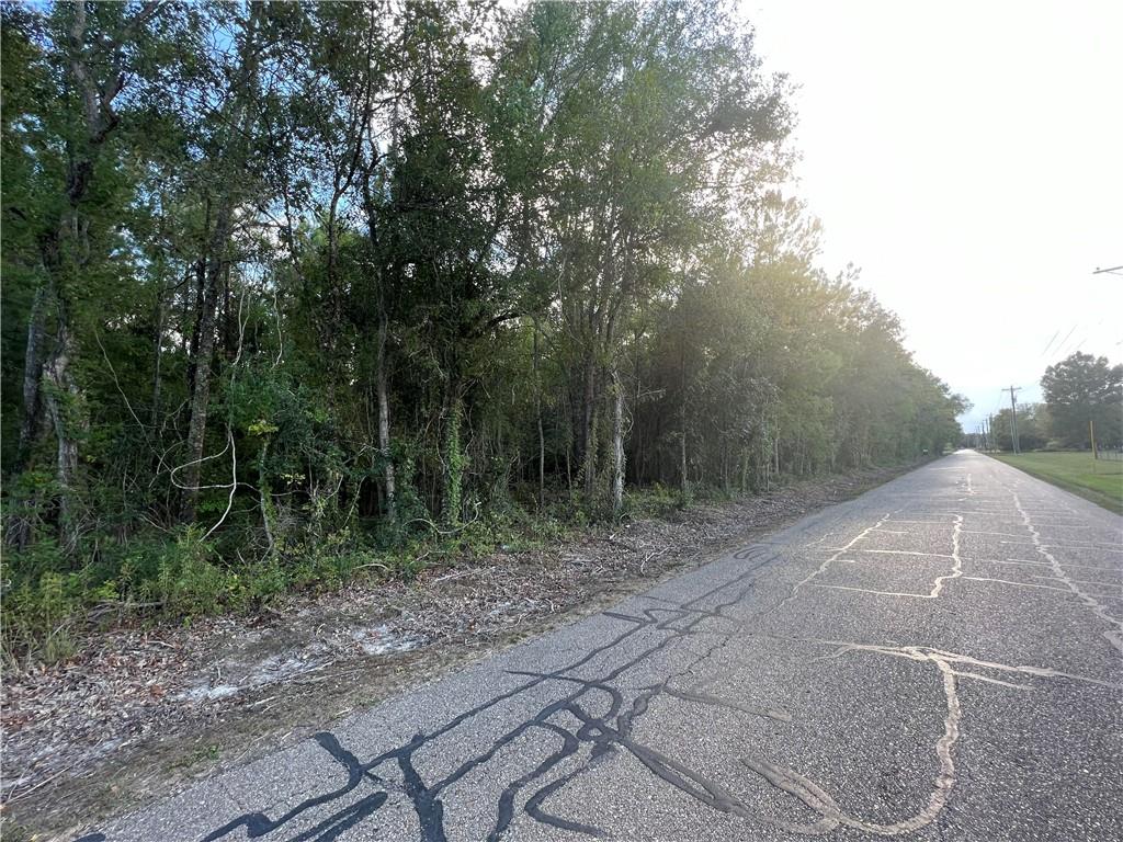 TBD Hutchinson Cemetery Road, Albany, Louisiana image 4