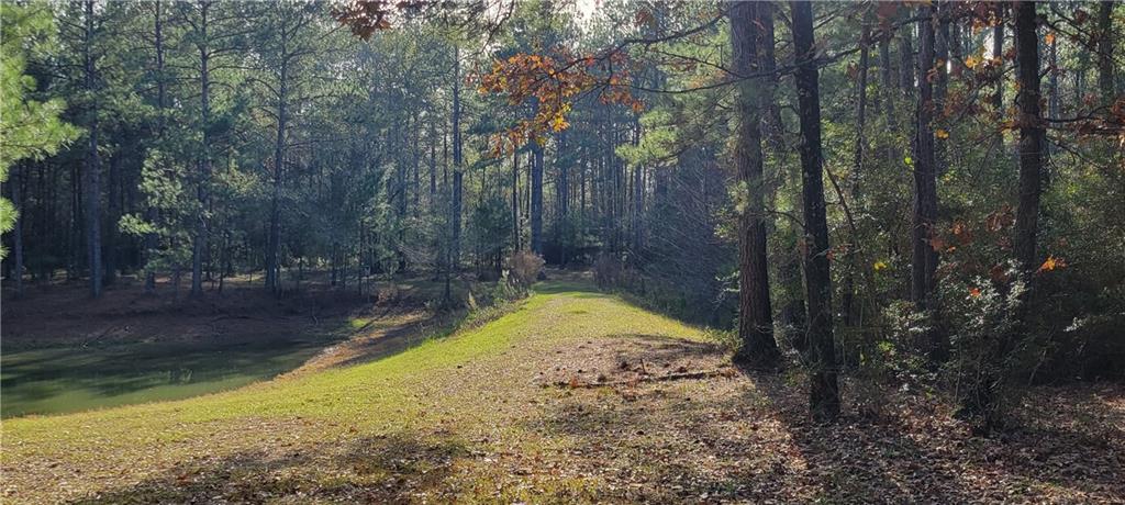 76555 Wilson Road, Kentwood, Louisiana image 9