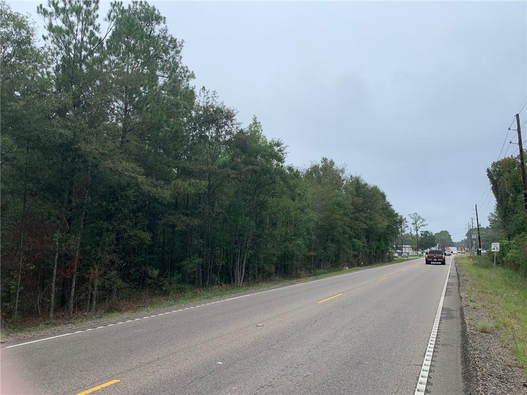 C-1 Highway 445 Highway, Robert, Louisiana image 2