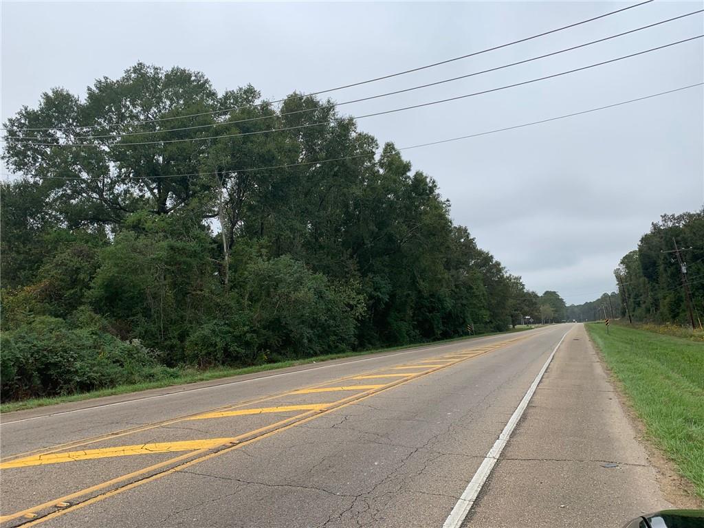 Highway 445 Highway, Robert, Louisiana image 3